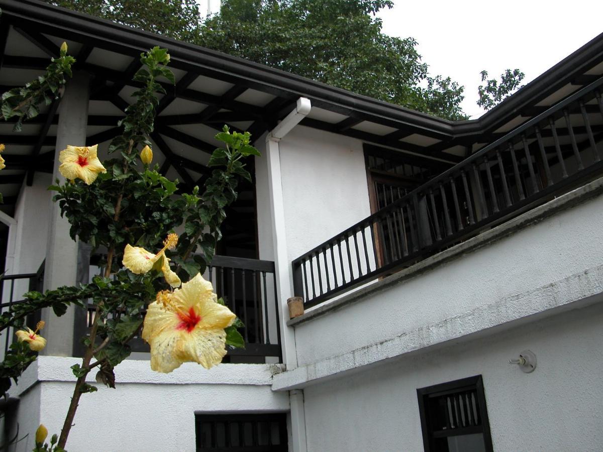 Casa De La Ciencia Villa Salento Bagian luar foto